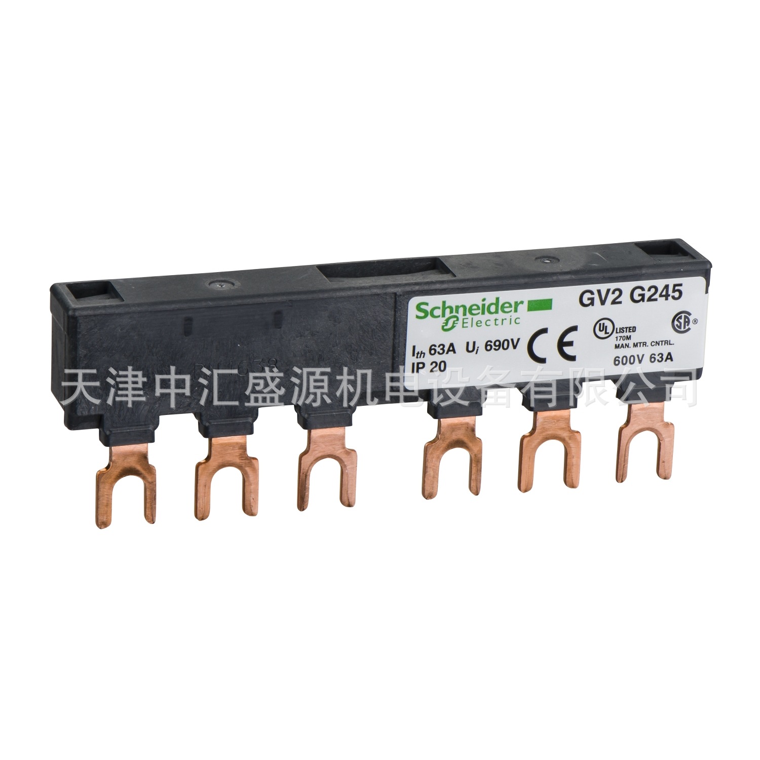GV2G245-1.jpg
