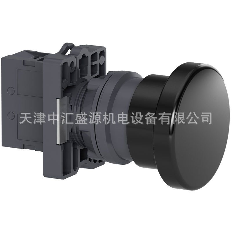 XA2EC21-1.jpg