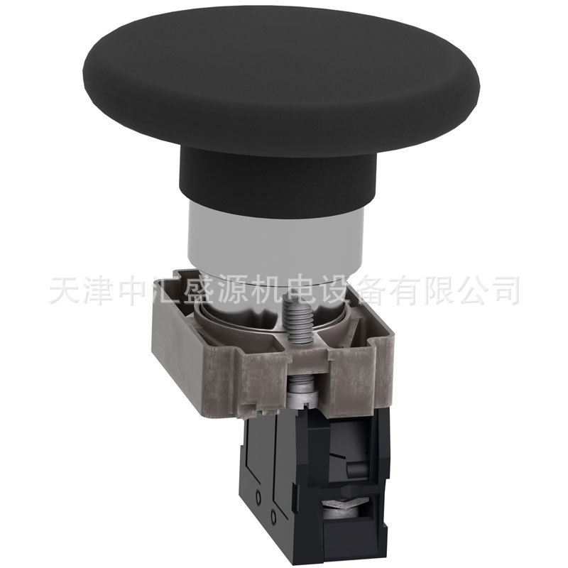 XB2BR21C-3.jpg