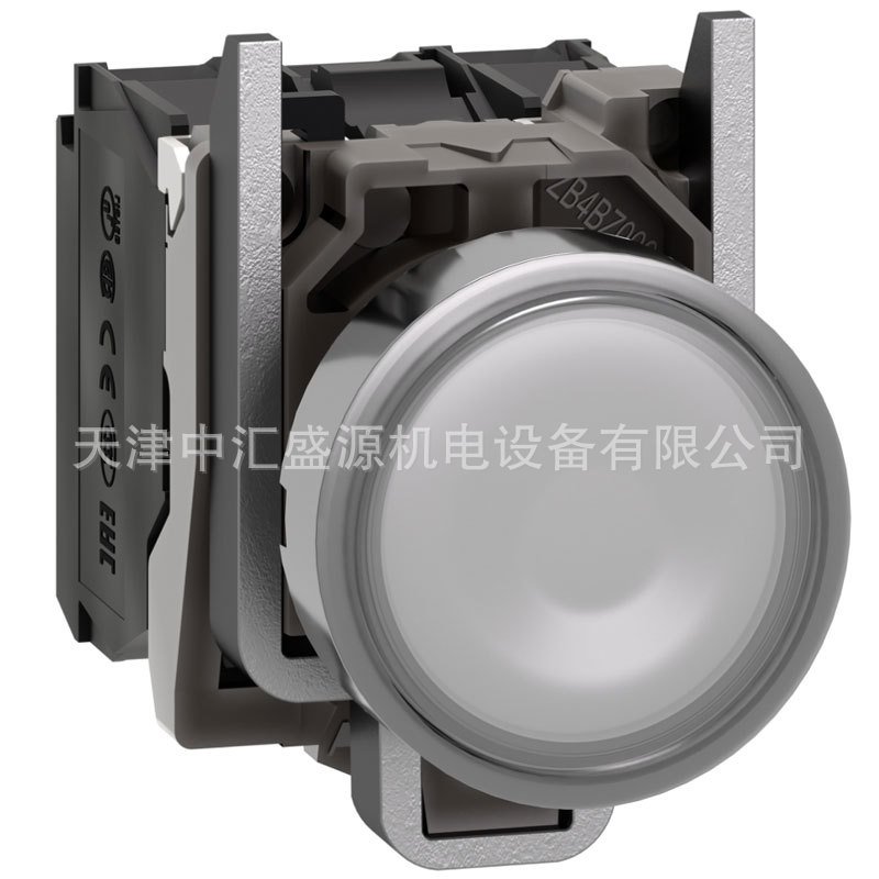 XB4BW31B5-1.jpg