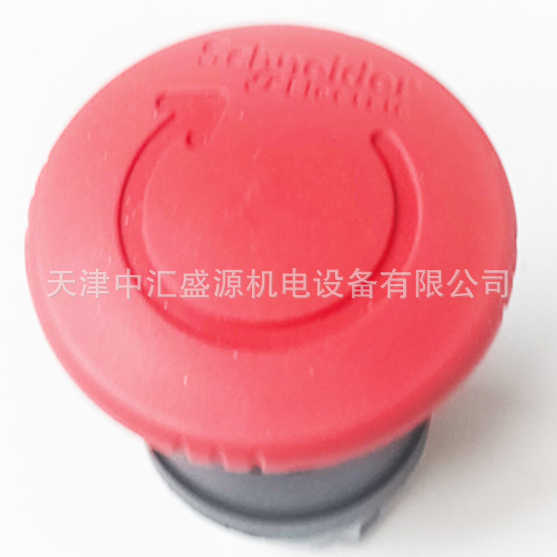 ZB4BS8447处理OK(05).jpg