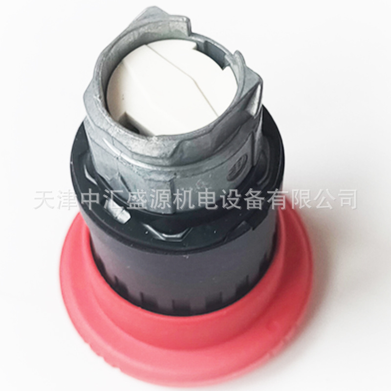 ZB4BS8447处理OK(10).jpg