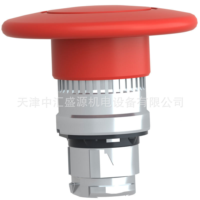 ZB4BS864-2.jpg