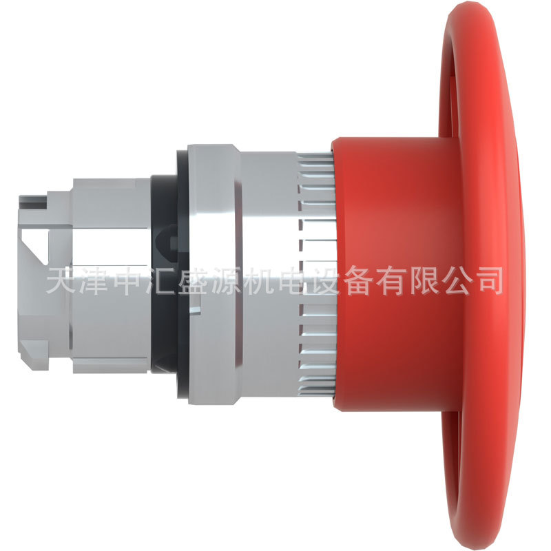 ZB4BS864-3.jpg